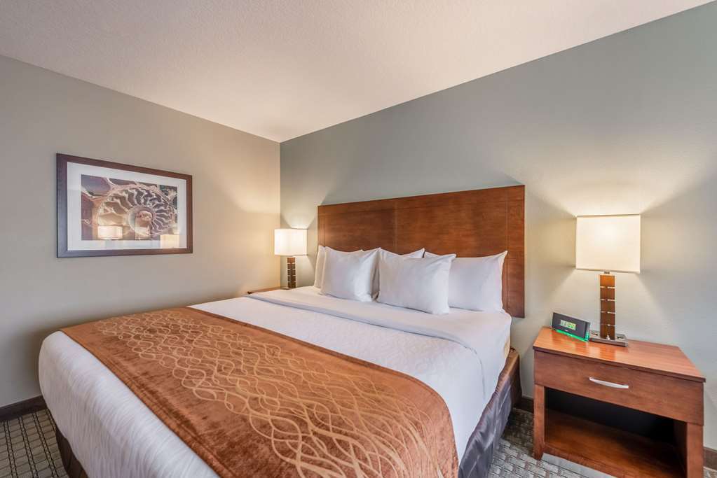 Comfort Inn & Suites - Chisago City ห้อง รูปภาพ